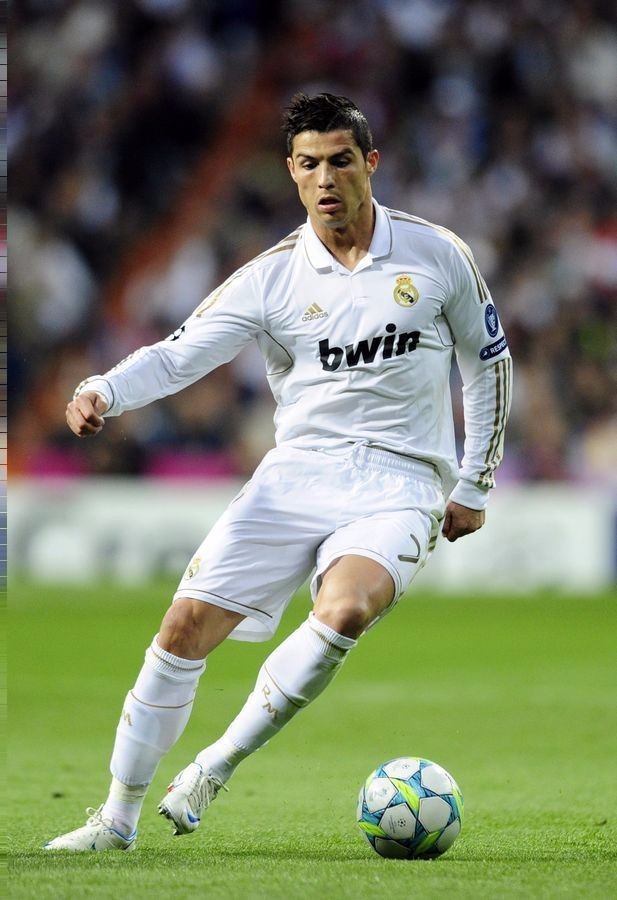 他不仅拥有 他不仅拥有