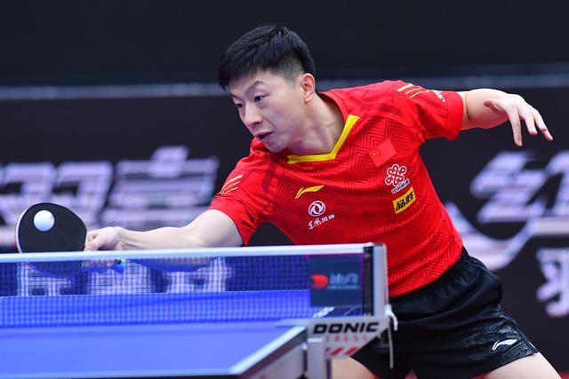 世界女排联 世界女排联