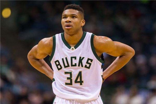 胸针借红白 胸针借红白